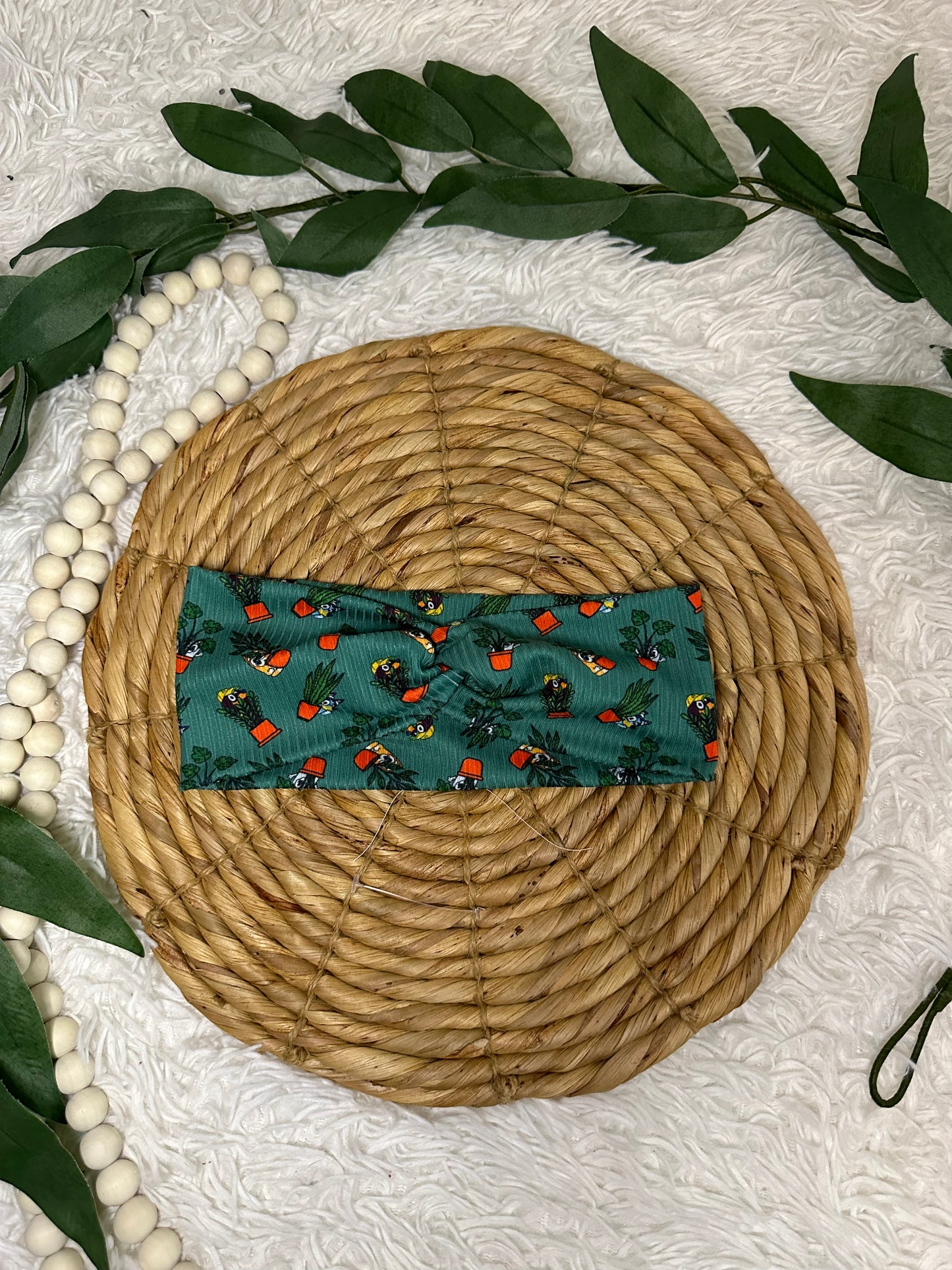 TV Show and House Plants Headband