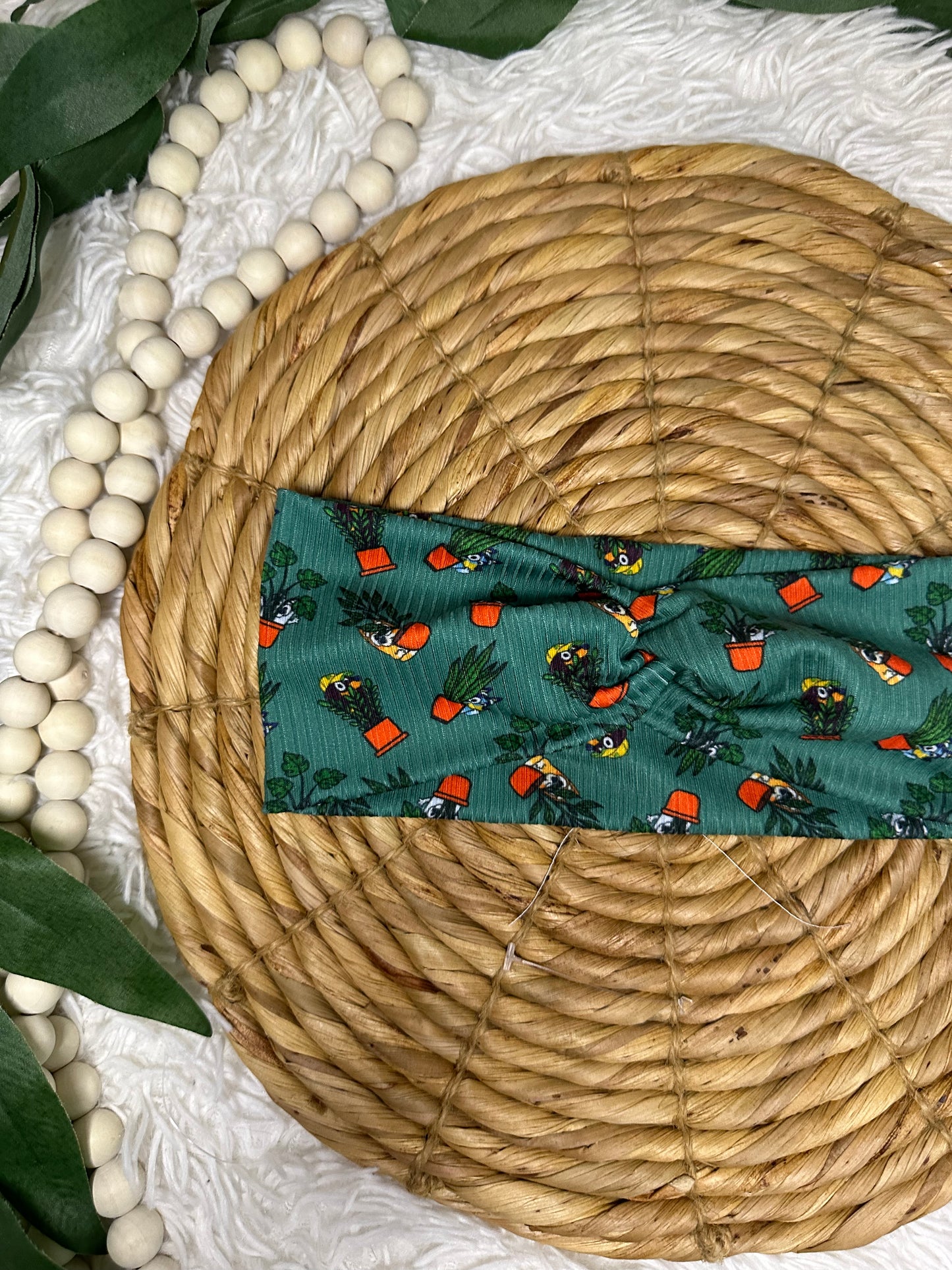 TV Show and House Plants Headband